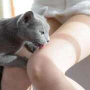 ヒメ日記 2025/10/05 04:14 投稿 徳島　あやみ エテルナ京都