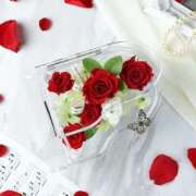 ヒメ日記 2025/11/20 09:18 投稿 徳島　あやみ エテルナ京都