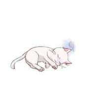 ヒメ日記 2025/12/26 08:51 投稿 徳島　あやみ エテルナ京都