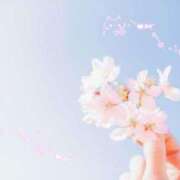 ヒメ日記 2026/01/13 12:42 投稿 徳島　あやみ エテルナ京都