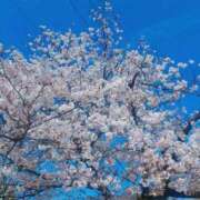 ヒメ日記 2026/04/18 15:12 投稿 徳島　あやみ エテルナ京都