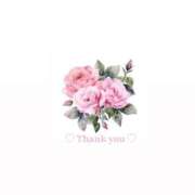 ヒメ日記 2025/03/05 15:40 投稿 りょう ピーチハニー