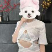 せいら わんっ ホワイトベル