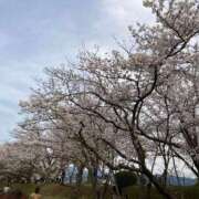 ヒメ日記 2025/04/19 23:48 投稿 三嶋(みしま) 熟女出逢い会『百合の園』目黒店