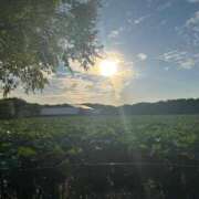 ヒメ日記 2025/11/03 11:48 投稿 三嶋(みしま) 熟女出逢い会『百合の園』目黒店