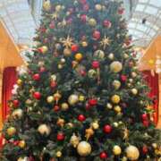 ヒメ日記 2025/11/15 18:48 投稿 三嶋(みしま) 熟女出逢い会『百合の園』目黒店