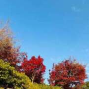 ヒメ日記 2025/12/02 22:39 投稿 三嶋(みしま) 熟女出逢い会『百合の園』目黒店