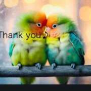 三嶋(みしま) お礼とお詫び 熟女出逢い会『百合の園』目黒店