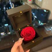 ヒメ日記 2025/04/12 23:41 投稿 くれは Number Five 品川（シンデレラグループ）