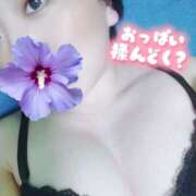 ヒメ日記 2025/06/14 21:15 投稿 要-かなめ 熟女10000円デリヘル 川崎