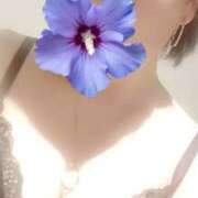 ヒメ日記 2025/05/07 14:44 投稿 要-かなめ 熟女10000円デリヘル横浜