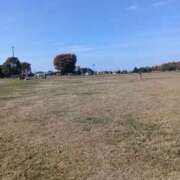 ヒメ日記 2025/11/14 13:11 投稿 ゆうな 野田デリヘル若妻淫乱倶楽部