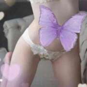 ヒメ日記 2026/01/21 07:56 投稿 樹梨亜（じゅりあ） フュージョンスパ