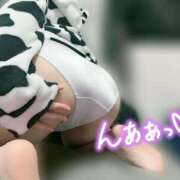 ヒメ日記 2025/02/13 10:18 投稿 れいな ぽちゃカワ女子専門店　藤沢湘南店