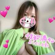 ヒメ日記 2025/04/11 11:55 投稿 れいな ぽちゃカワ女子専門店　藤沢湘南店