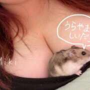 ヒメ日記 2025/10/24 22:39 投稿 みき 豊満奉仕倶楽部