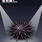 ヒメ日記 2026/06/11 10:29 投稿 みき 豊満奉仕倶楽部
