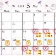 ヒメ日記 2025/05/14 14:48 投稿 なつな 千葉人妻セレブリティ（ユメオト）