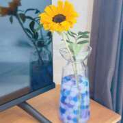 ヒメ日記 2025/06/16 10:35 投稿 なつな 千葉人妻セレブリティ（ユメオト）