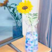 ヒメ日記 2025/07/13 20:35 投稿 なつな 千葉人妻セレブリティ（ユメオト）