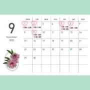 ヒメ日記 2025/09/01 13:22 投稿 なつな 千葉人妻セレブリティ（ユメオト）