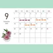 ヒメ日記 2025/09/08 14:13 投稿 なつな 千葉人妻セレブリティ（ユメオト）