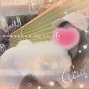 ヒメ日記 2025/10/15 19:19 投稿 なつな 千葉人妻セレブリティ（ユメオト）