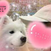 ヒメ日記 2025/11/06 13:45 投稿 なつな 千葉人妻セレブリティ（ユメオト）