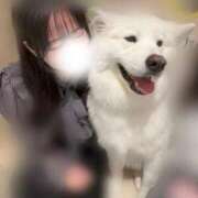 ヒメ日記 2025/06/06 10:20 投稿 うみ ごほうびSPA五反田店