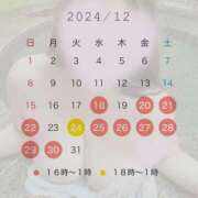 ヒメ日記 2024/12/20 18:09 投稿 ひなの 豊満奉仕倶楽部