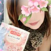 ヒメ日記 2025/04/06 20:40 投稿 加賀美(かがみ) Ageha（あげは）