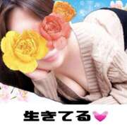 ヒメ日記 2025/04/26 22:41 投稿 加賀美(かがみ) Ageha（あげは）