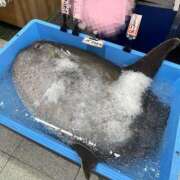 ヒメ日記 2025/05/07 00:12 投稿 シズク ヴィーナス(金津園)