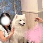 ヒメ日記 2025/06/13 16:27 投稿 シズク ヴィーナス(金津園)