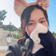 ヒメ日記 2025/10/30 09:03 投稿 シズク ヴィーナス(金津園)