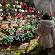 ヒメ日記 2025/11/23 00:06 投稿 シズク ヴィーナス(金津園)