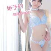 ヒメ日記 2024/12/13 14:48 投稿 ハル ヴィーナス(金津園)