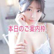 ヒメ日記 2024/12/21 11:33 投稿 ハル ヴィーナス(金津園)