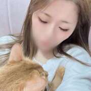 ヒメ日記 2025/02/16 11:12 投稿 ハル ヴィーナス(金津園)