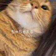 ヒメ日記 2025/02/26 23:34 投稿 ハル ヴィーナス(金津園)