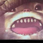 ヒメ日記 2025/03/05 10:49 投稿 ハル ヴィーナス(金津園)