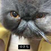 ヒメ日記 2025/03/19 08:51 投稿 ハル ヴィーナス(金津園)