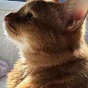 ヒメ日記 2025/04/18 09:18 投稿 ハル ヴィーナス(金津園)