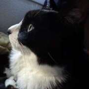 ヒメ日記 2025/04/22 11:03 投稿 ハル ヴィーナス(金津園)