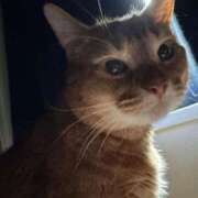 ヒメ日記 2025/05/07 09:42 投稿 ハル ヴィーナス(金津園)