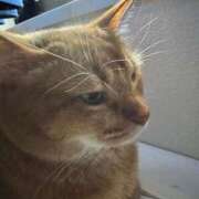 ヒメ日記 2025/05/12 12:18 投稿 ハル ヴィーナス(金津園)