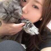 ヒメ日記 2025/06/04 15:27 投稿 ハル ヴィーナス(金津園)