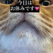 ヒメ日記 2025/06/13 13:42 投稿 ハル ヴィーナス(金津園)