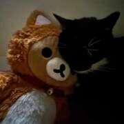 ヒメ日記 2025/06/16 16:57 投稿 ハル ヴィーナス(金津園)