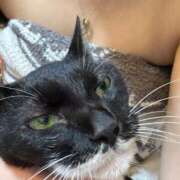 ヒメ日記 2025/07/18 13:57 投稿 ハル ヴィーナス(金津園)